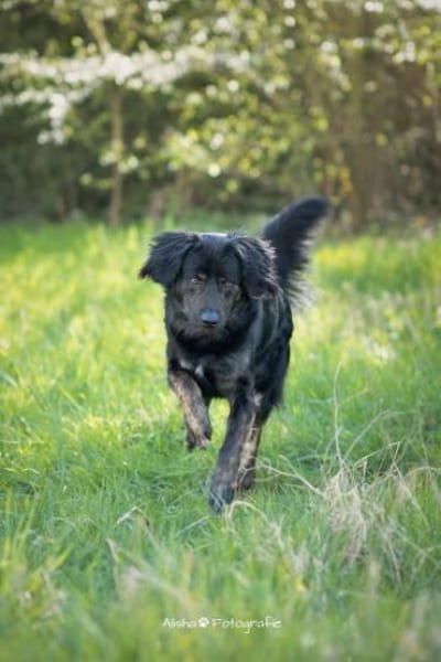 JAMPY2 * sportlicher Schmuser