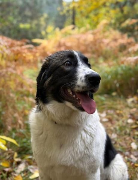 Linda eine großherzige Lady