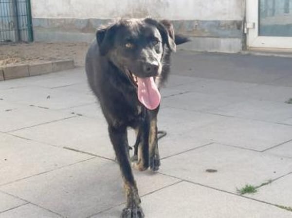 Nero, lernt gerade die Welt kennen