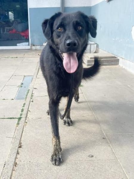 Nero, lernt gerade die Welt kennen