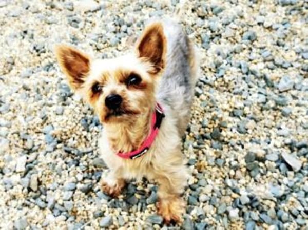 Trixie su. Gnadenbrotplatz