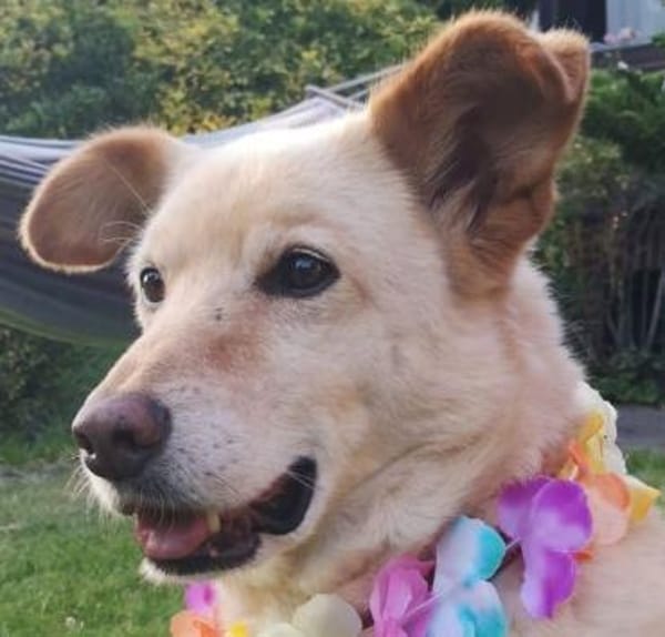 Sam - endlich für immer ankommen