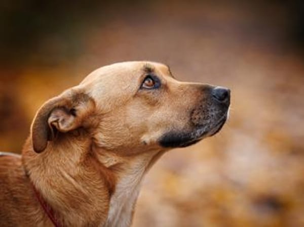 Elise möchte an Ihrem Leben teilhaben
