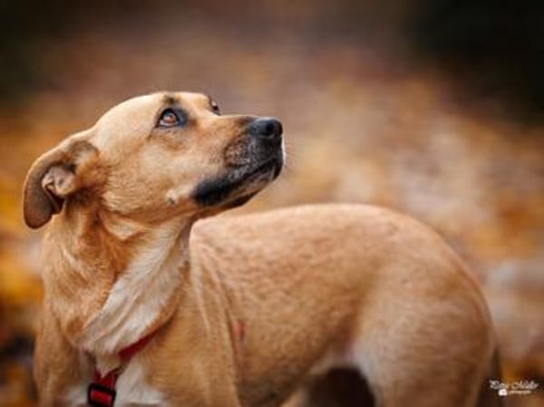 Elise möchte an Ihrem Leben teilhaben