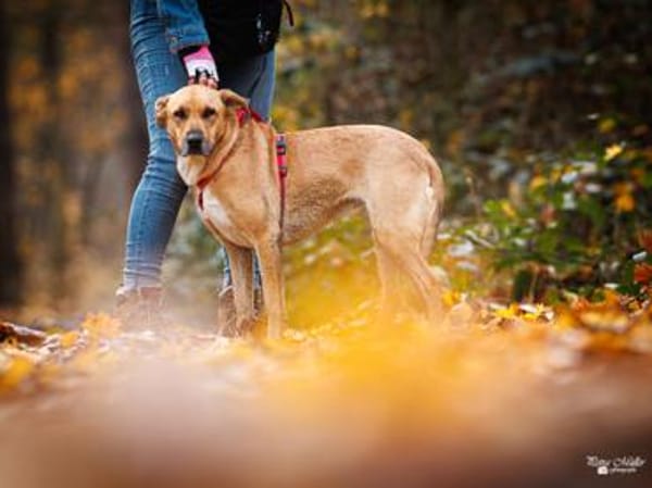 Elise möchte an Ihrem Leben teilhaben