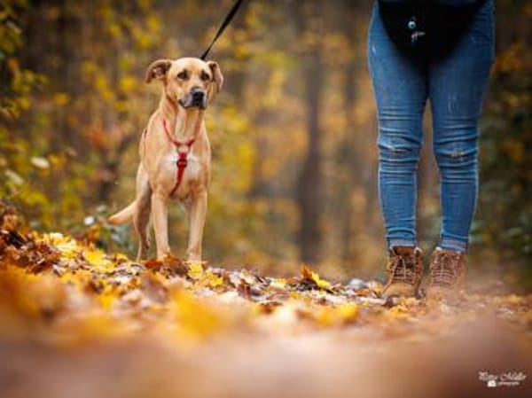 Elise möchte an Ihrem Leben teilhaben