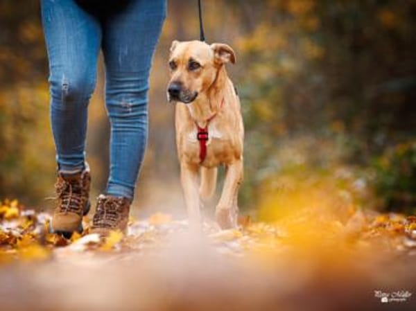 Elise möchte an Ihrem Leben teilhaben