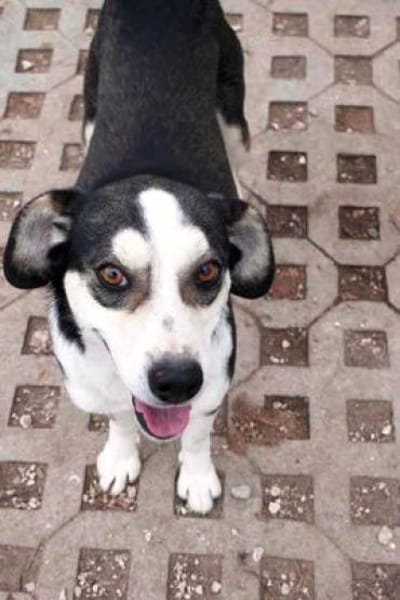 Skadi: offen, menschenbezogen + so lieb!