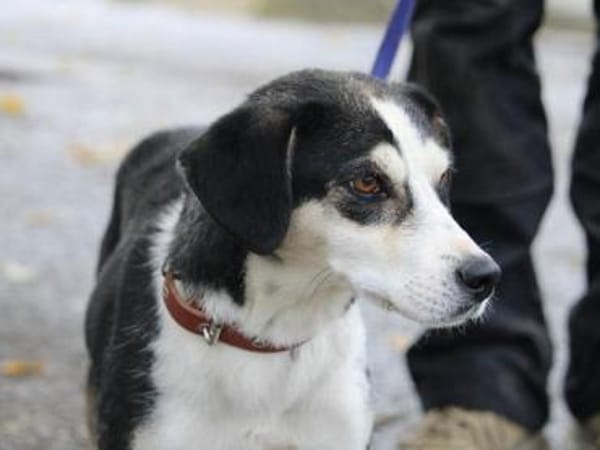 Skadi: offen, menschenbezogen + so lieb!