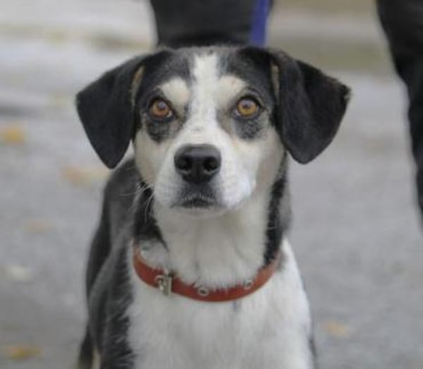 Skadi: offen, menschenbezogen + so lieb!