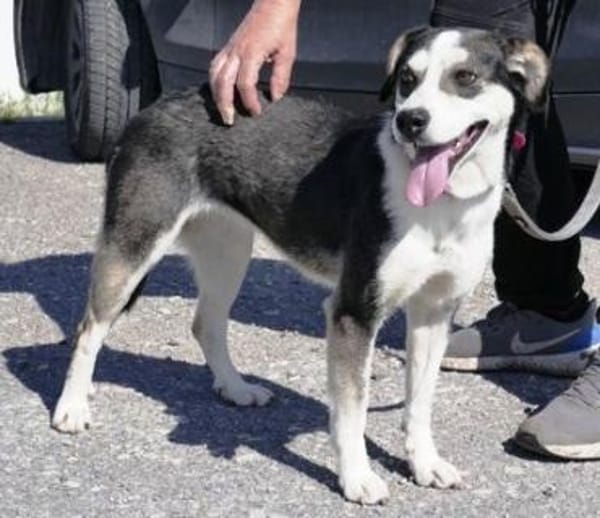 Skadi: offen, menschenbezogen + so lieb!