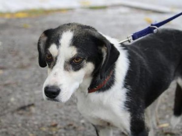 Skadi: offen, menschenbezogen + so lieb!