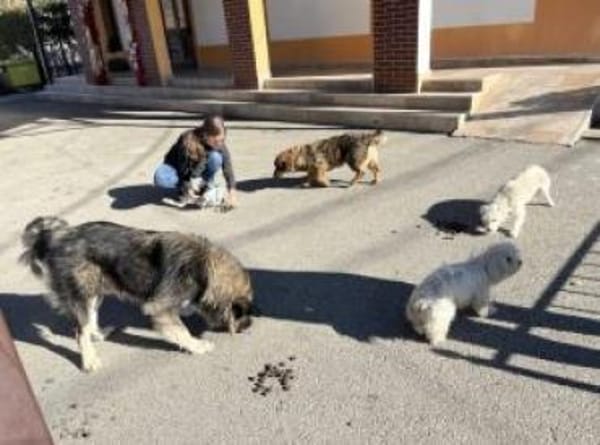 Luis 35 cm (Pflegestelle)