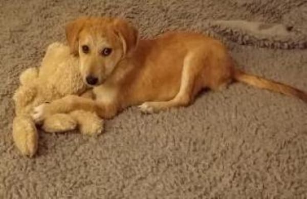 Emma 32 cm (Nov 25) Pfegestelle)