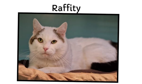 RAFFITY ( Réservée)