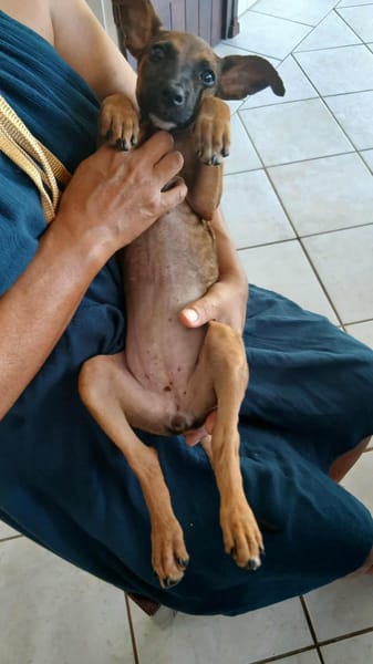 TANINA la malicieuse