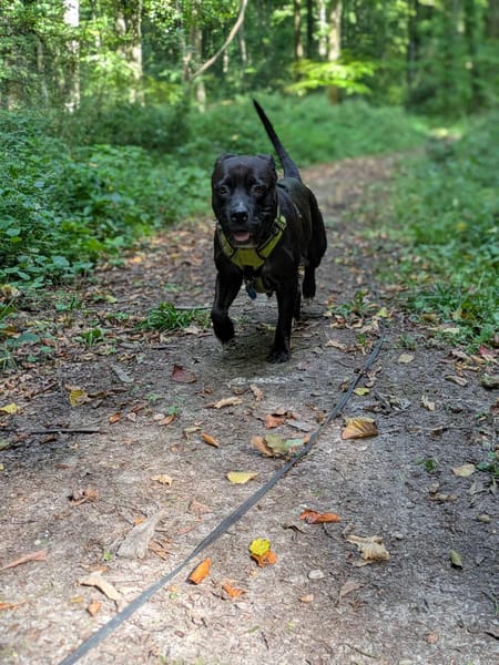 Paty, une créole en Normandie