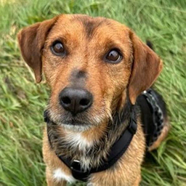 Blöki muss endlich ankommen!