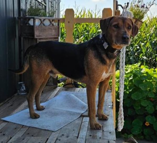 Blöki muss endlich ankommen!