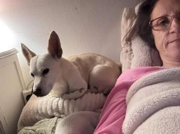 Minimann Kai sucht neues Zuhause!