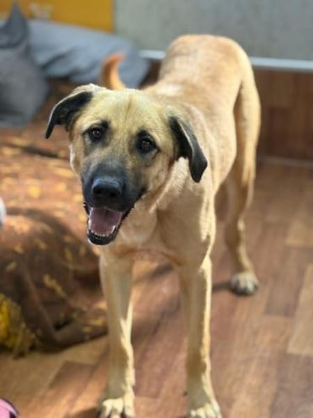 Krümel - eine liebevolle Seele