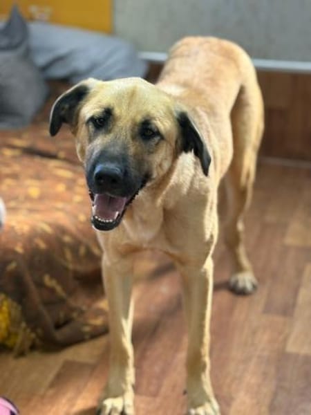 Krümel - eine liebevolle Seele