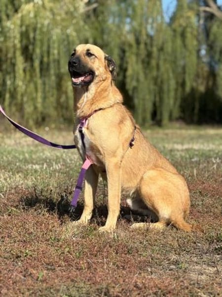 Krümel - eine liebevolle Seele