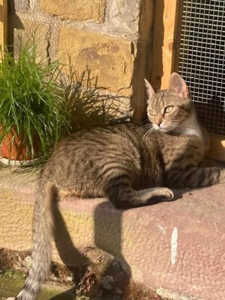 Schüchterne Lilly sucht Familie