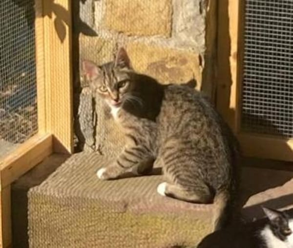 Schüchterne Lilly sucht Familie