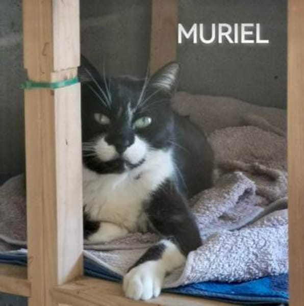 Muriel wartet schon sooo lange!