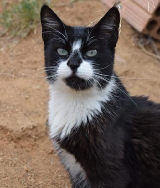 Muriel wartet schon sooo lange!