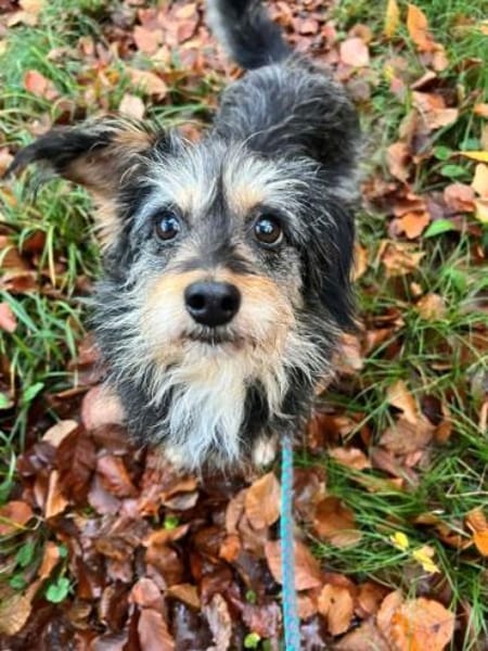 EEFJE -menschenbezogen, offen & sanft-