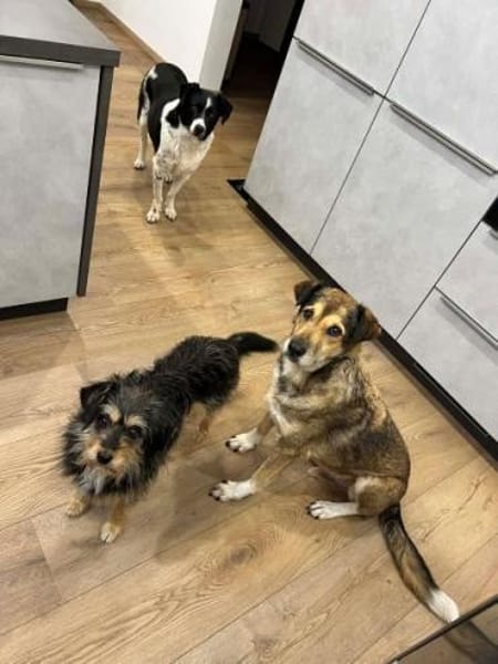 EEFJE -menschenbezogen, offen & sanft-