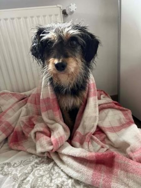 EEFJE -menschenbezogen, offen & sanft-