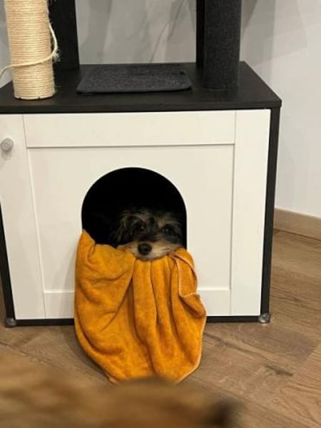 EEFJE -menschenbezogen, offen & sanft-