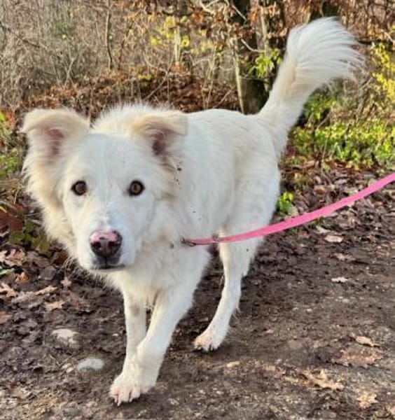 Knut sucht seinen Deckel/ in 82284