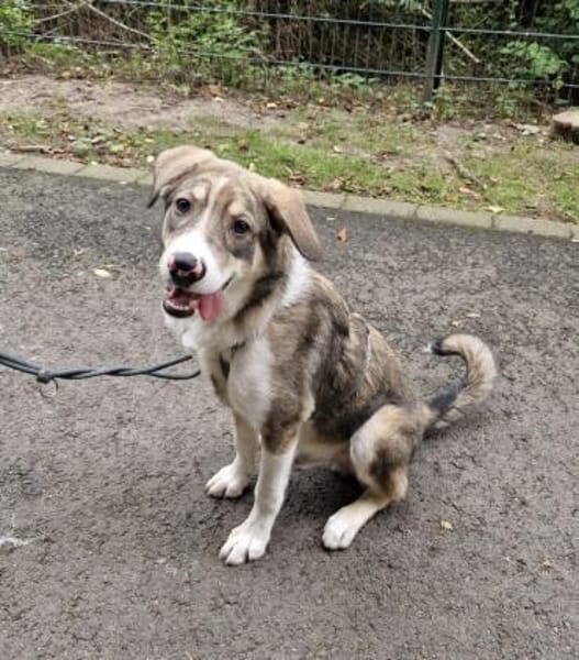 Nikon sucht sein Zuhause