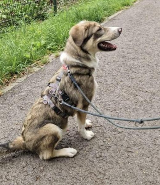 Nikon sucht sein Zuhause