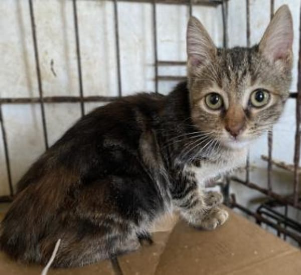 Kleine Wilma sucht ihr Glück