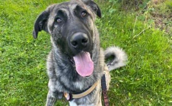 Hubert hat viel Liebe zu verschenken