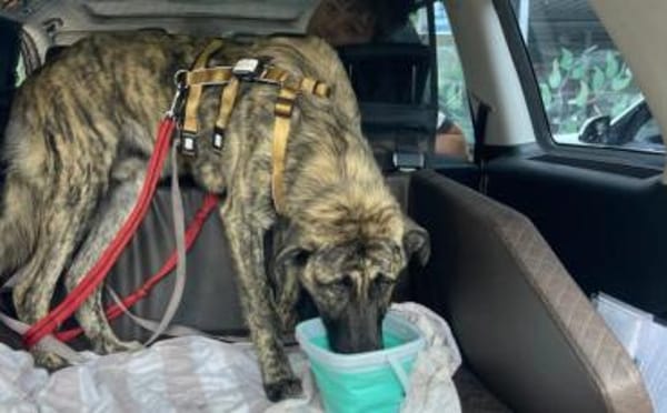 Hubert hat viel Liebe zu verschenken