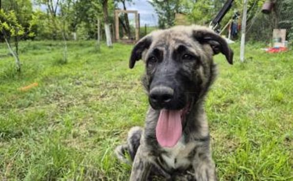 Hubert hat viel Liebe zu verschenken