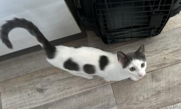 Verschmuster Bobby ❤