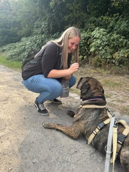 Lieber Mafia sucht seine Menschen.