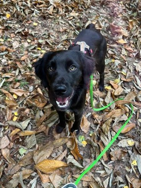 Fredi auf der Suche nach seinen Herzensm