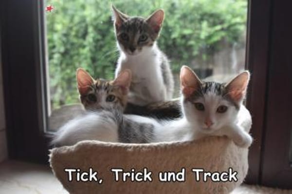 TICK, TRICK & TRACK