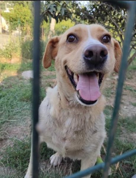 Kämpferin Megan sucht ihren Platz!