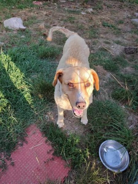 Kämpferin Megan sucht ihren Platz!