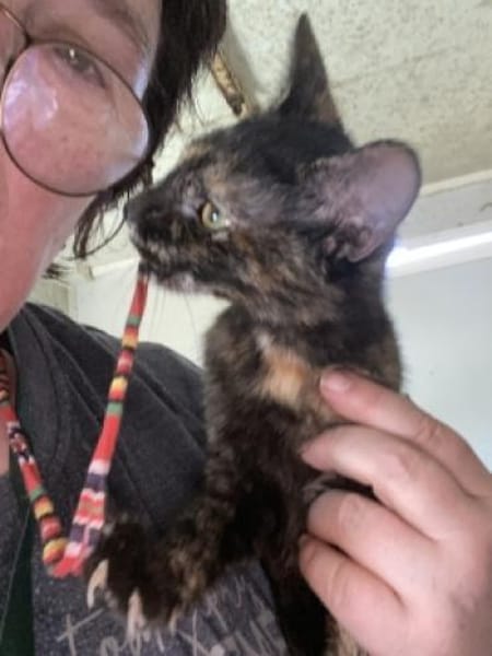 Bezaubernde Olivia sucht ein Zuhause