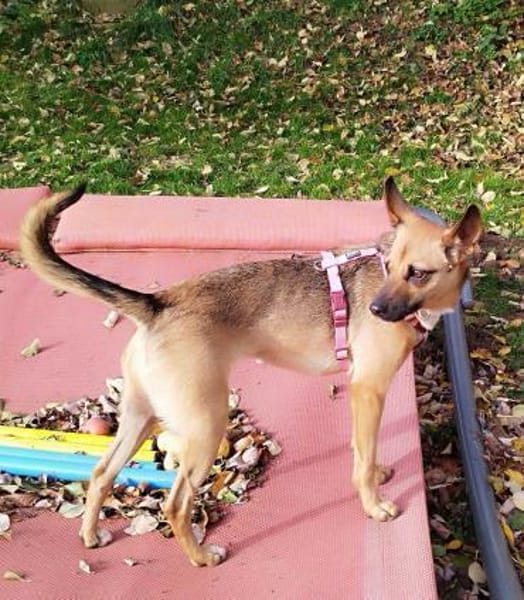 KIKA - wartet in 89312 Günzburg!